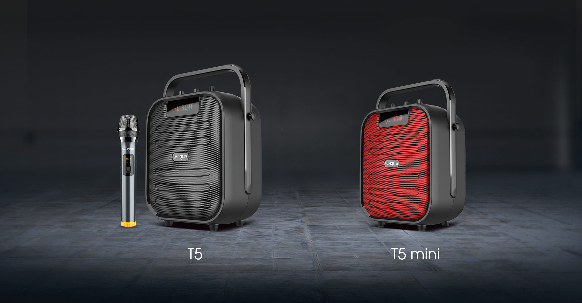 T5 mini