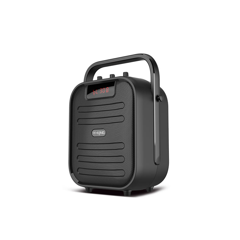 T5MINI
